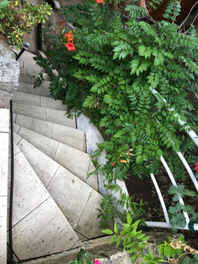 Villa 10-12 Pers Centre La Baule 300M De La Mer エクステリア 写真